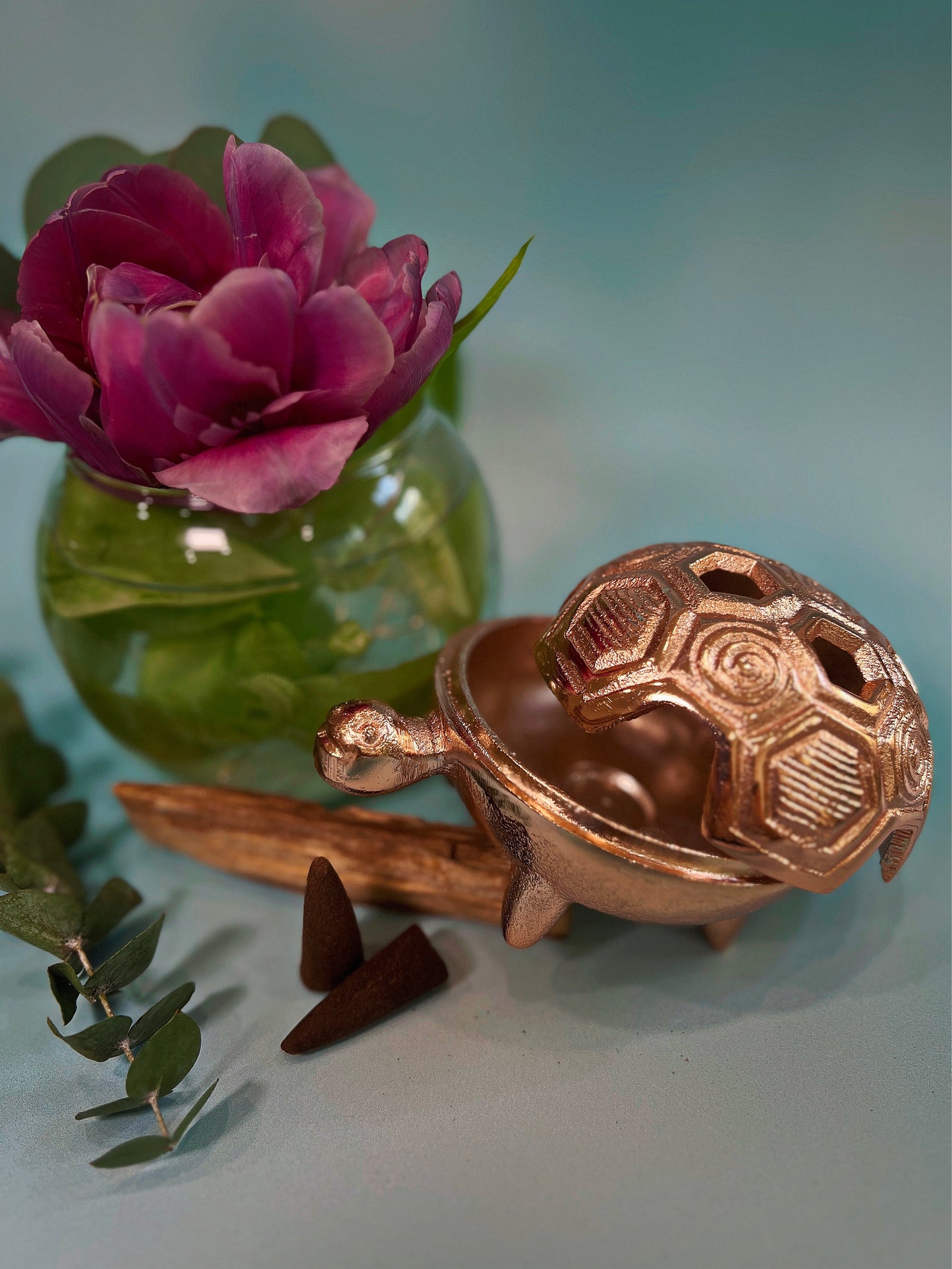 Turtle tray/dish