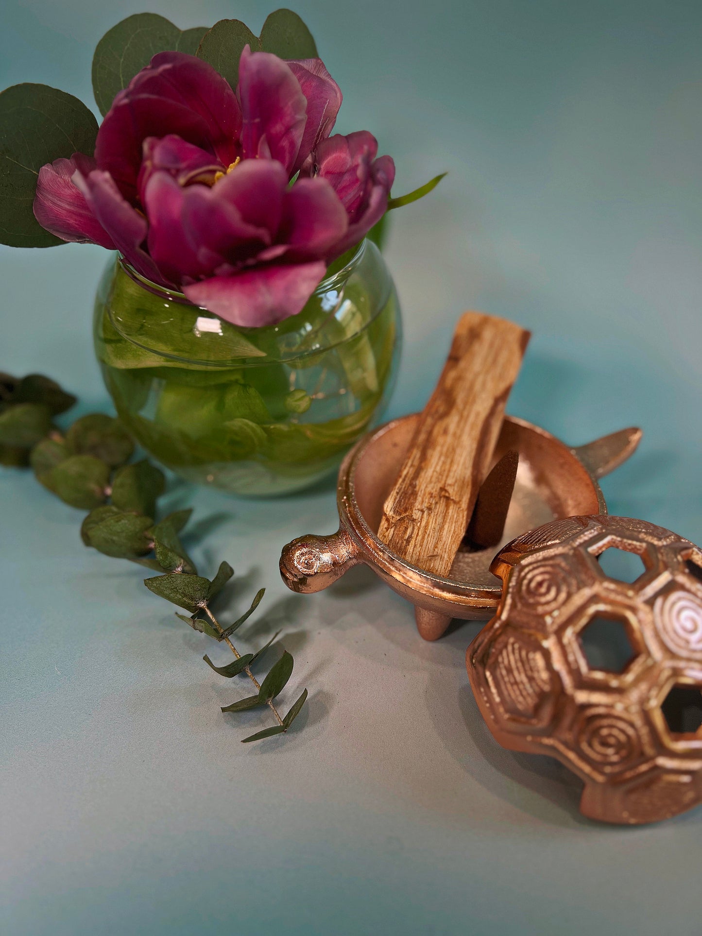 Turtle tray/dish