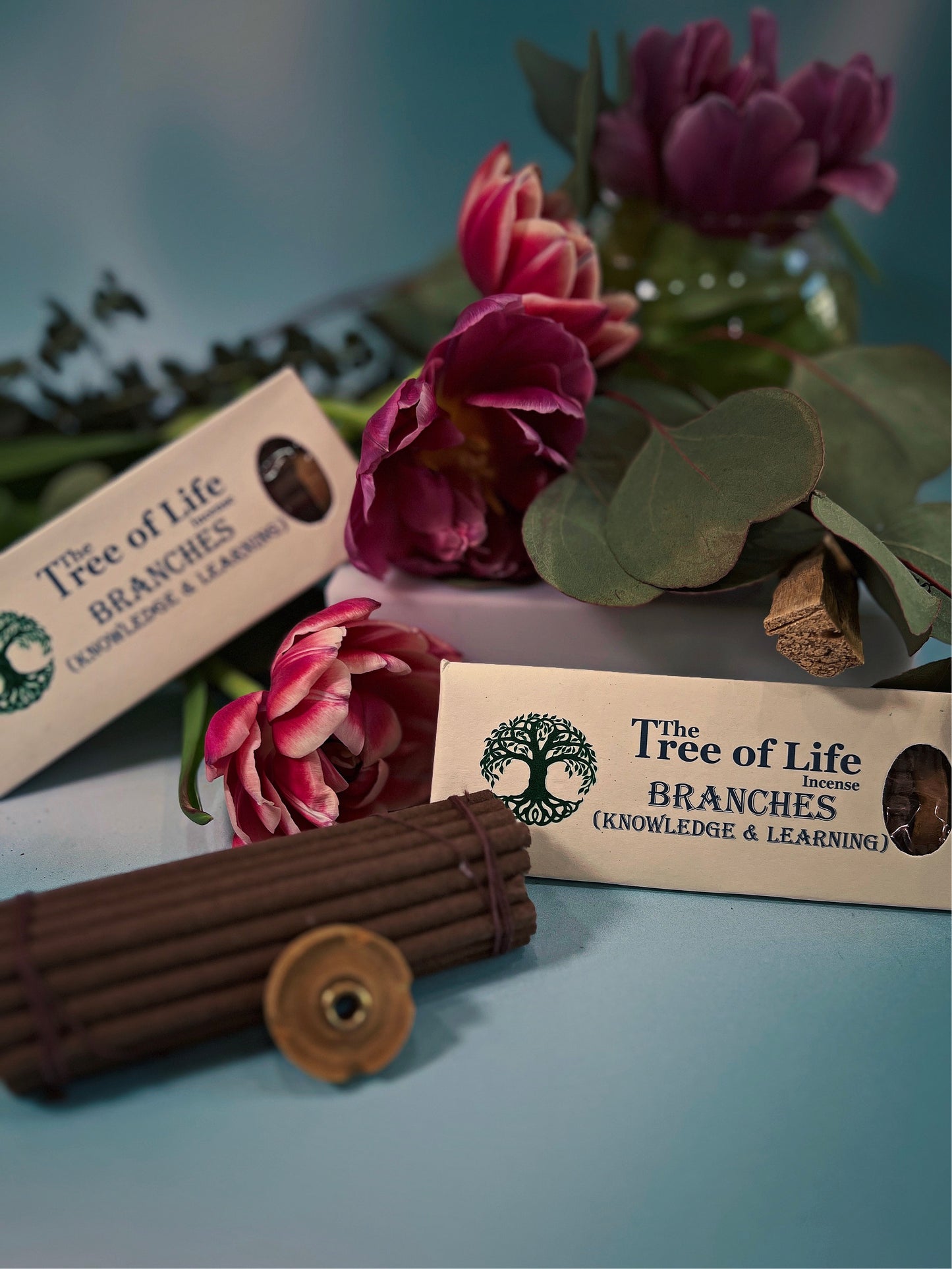 Knowledge + Learning Branches incense
