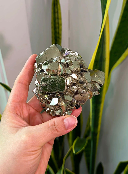 Pyrite Cluster