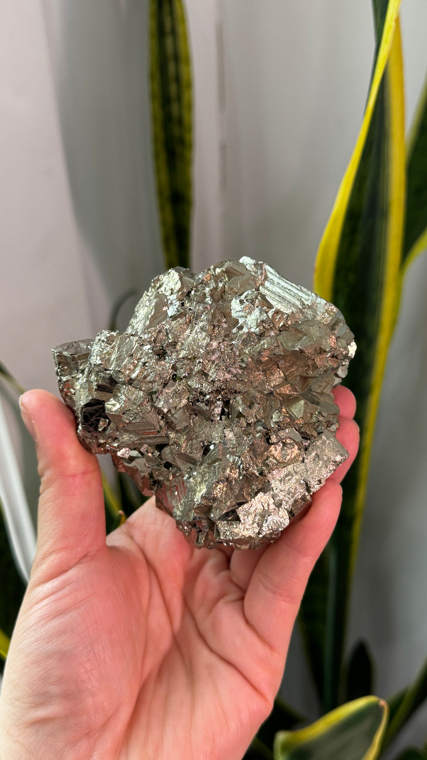Pyrite Cluster