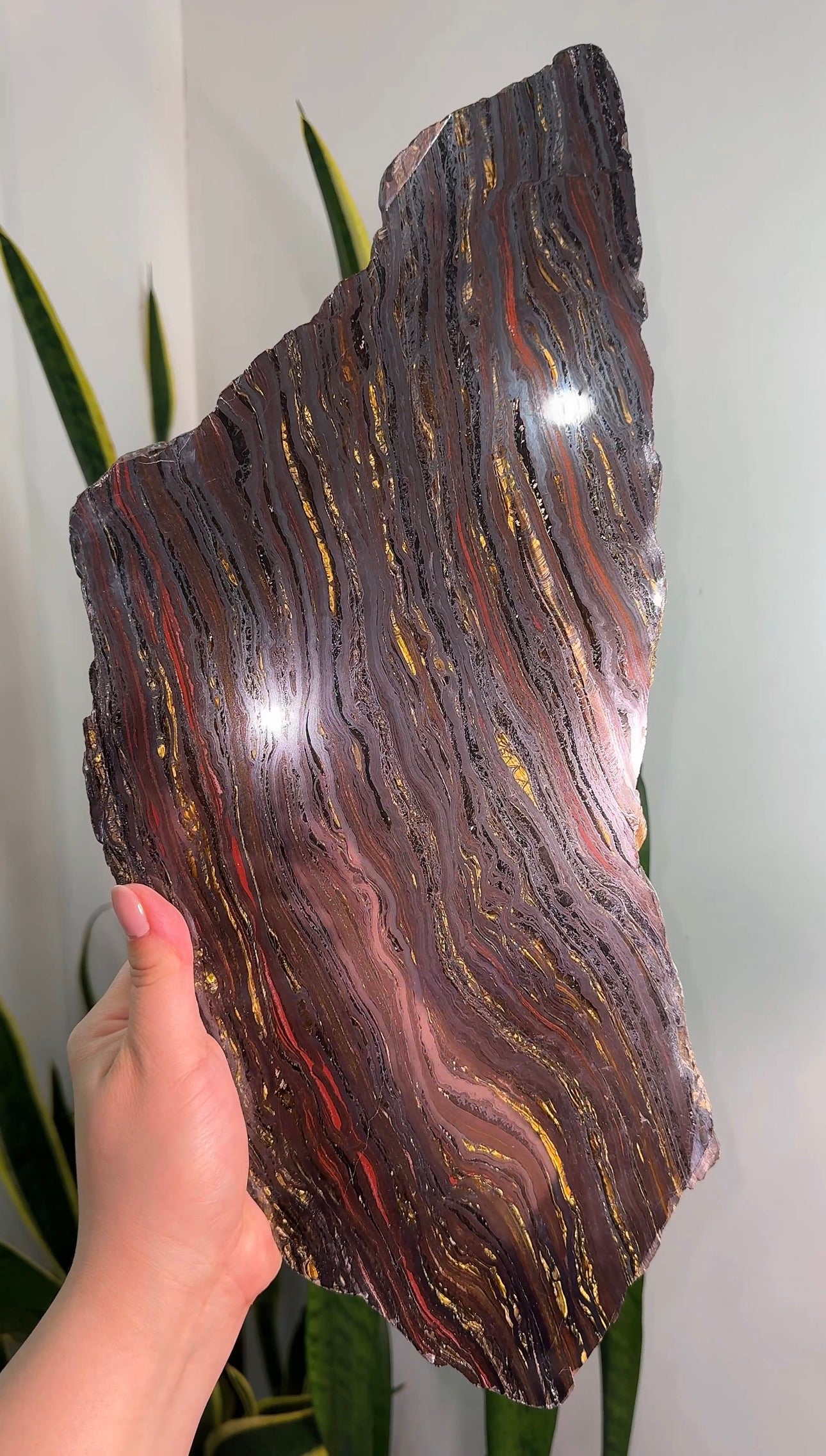 Australian Tiger Iron Slab XL