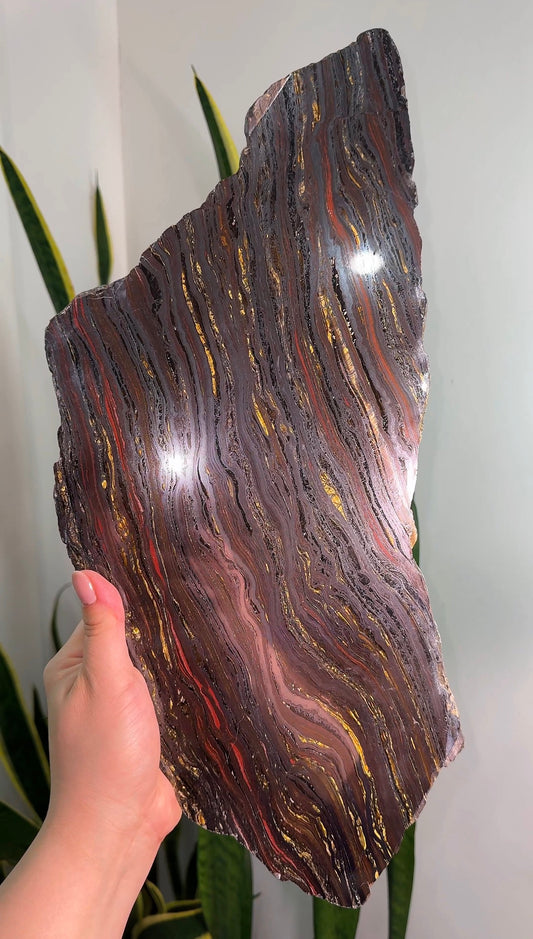 Australian Tiger Iron Slab XL