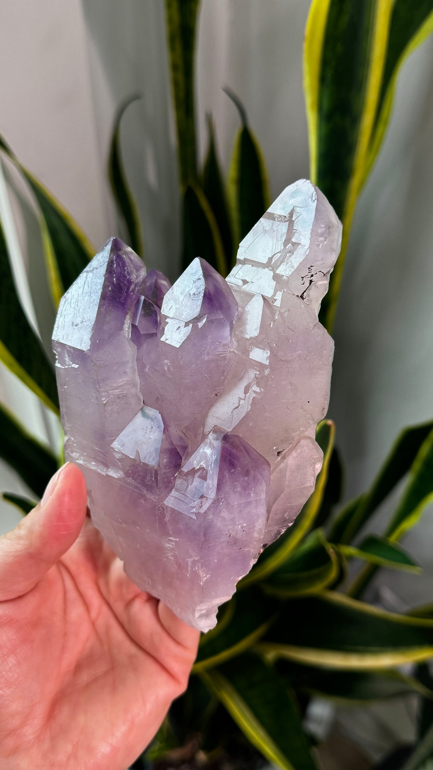 Elestial Amethyst