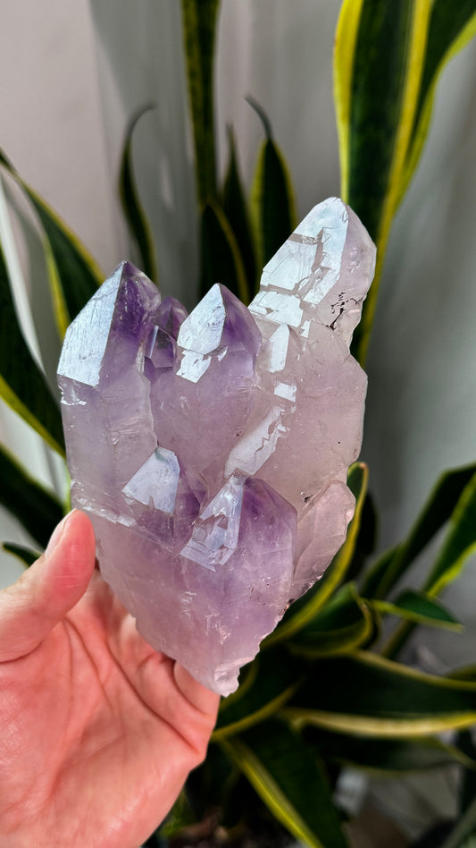 Elestial Amethyst