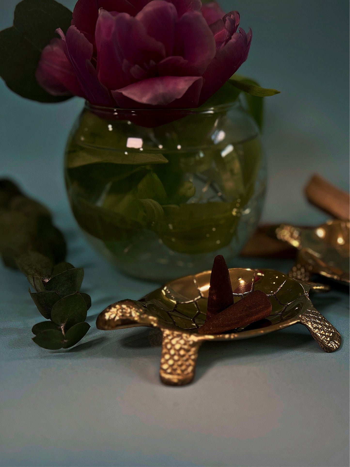 Turtle dish