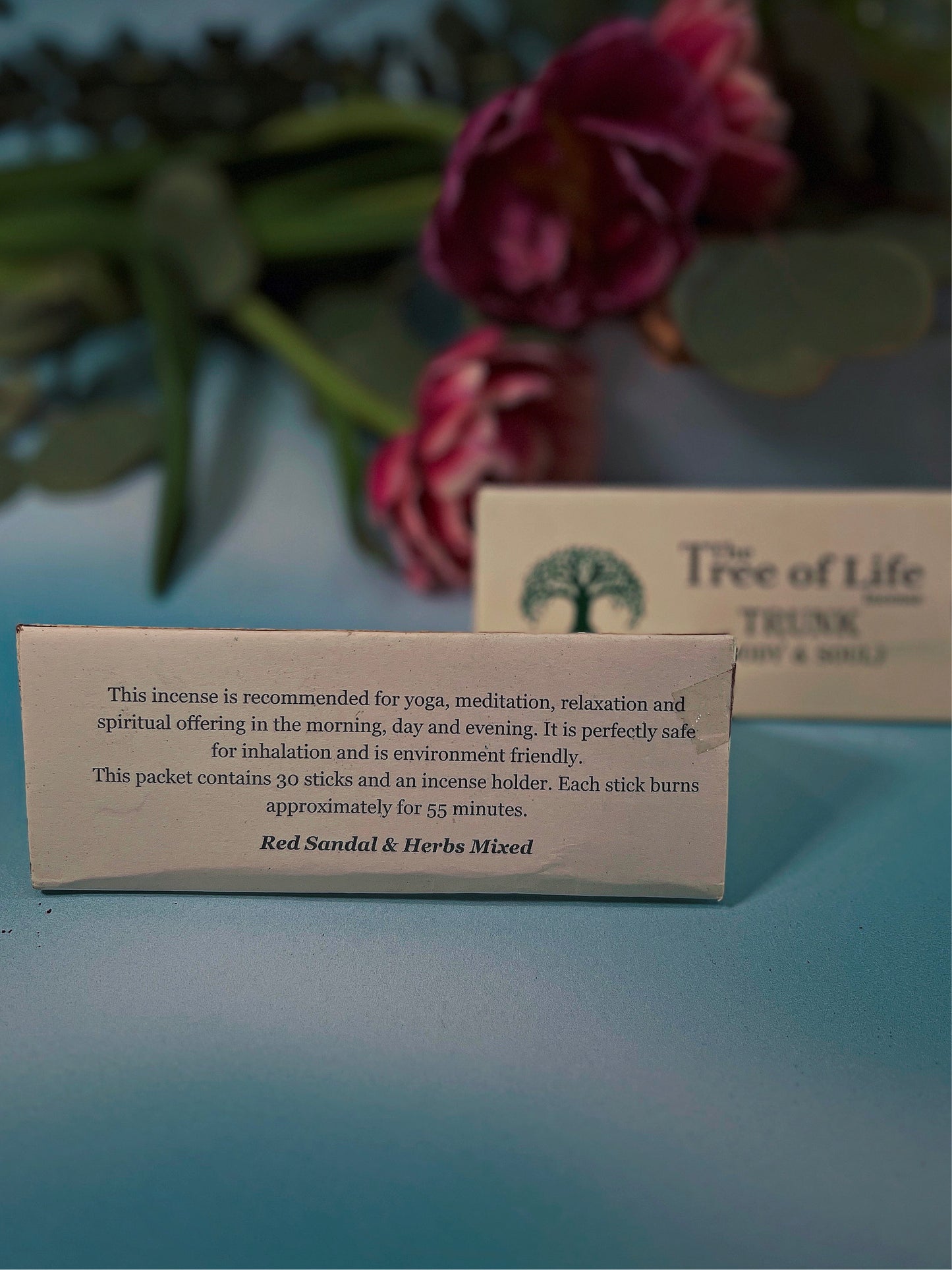 Body + Soul Trunk incense