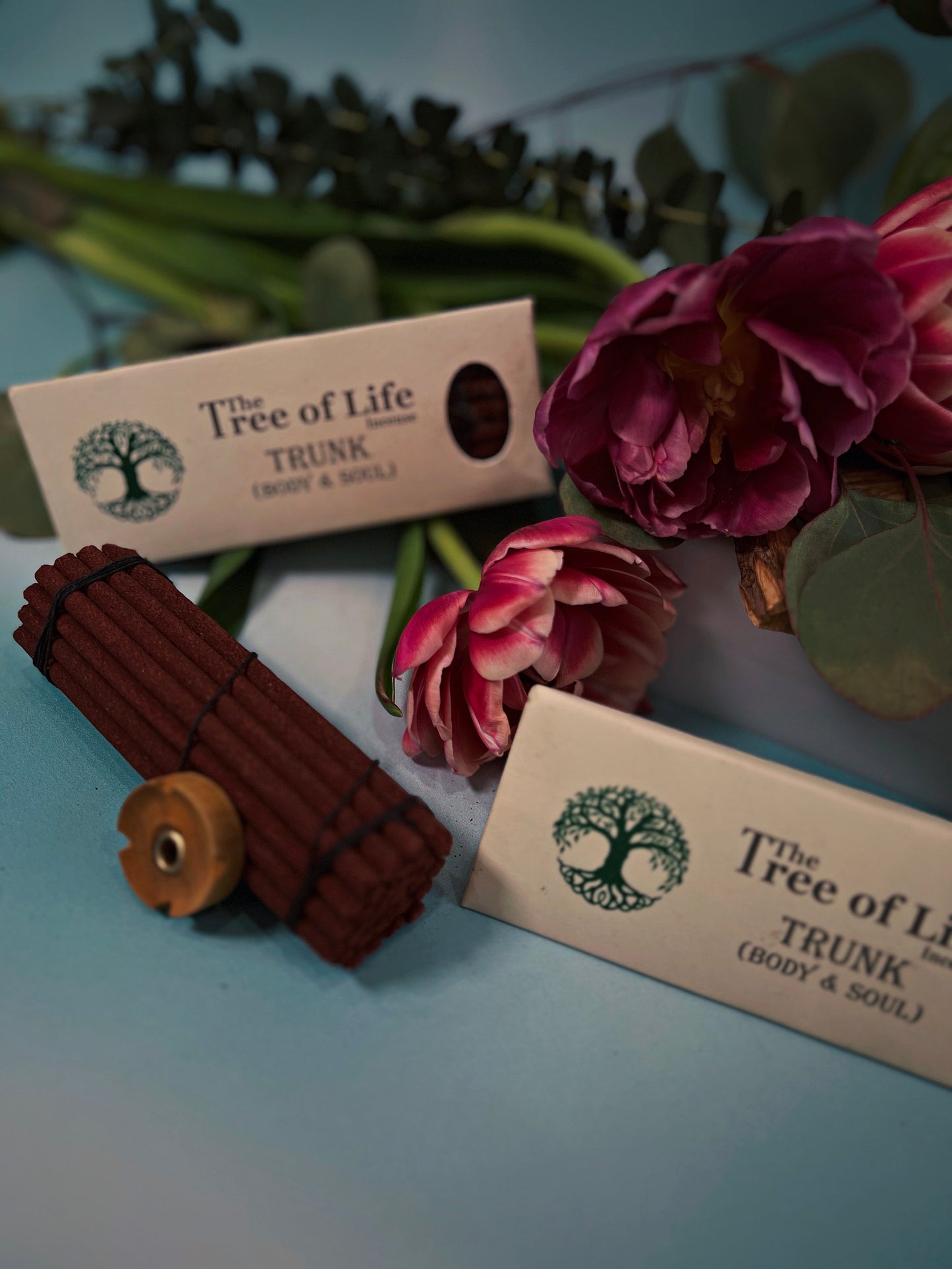 Body + Soul Trunk incense