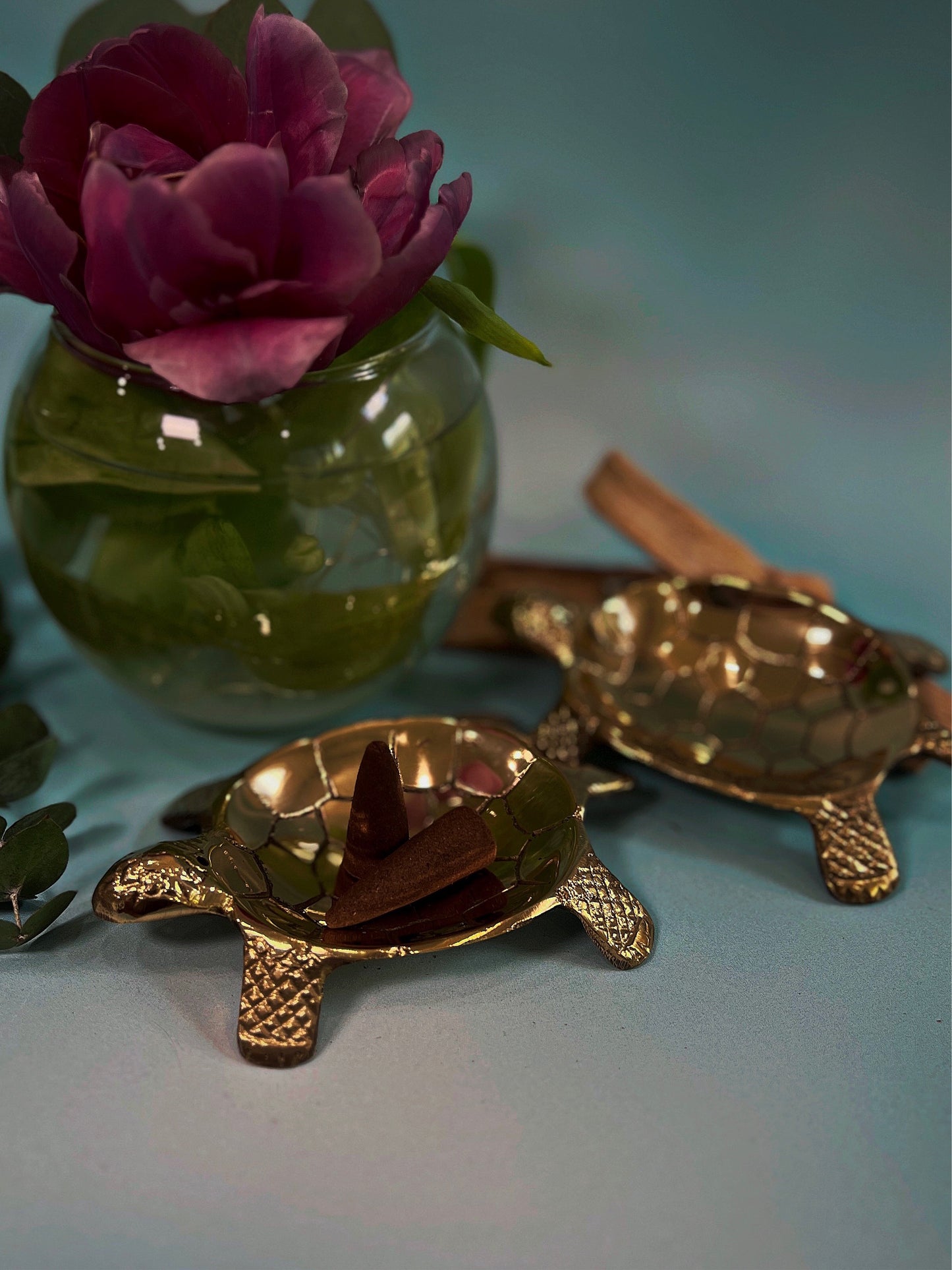 Turtle dish