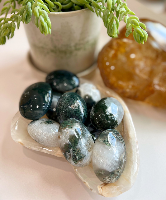 Moss Agate Palm Stone